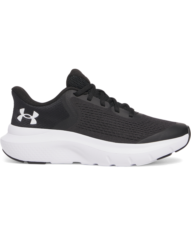 UA BGS Rogue 5