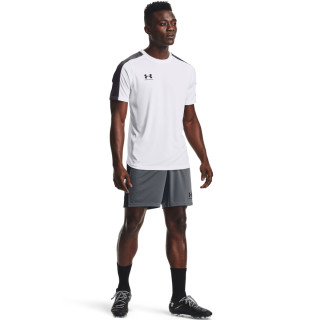 Men's UA Challenger Knit Shorts 