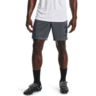 Men's UA Challenger Knit Shorts 