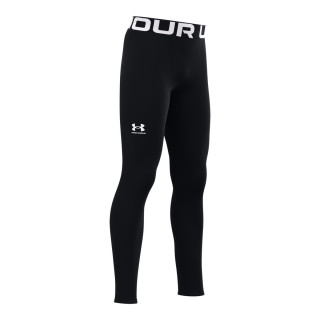 Boys' ColdGear® Armour Leggings 