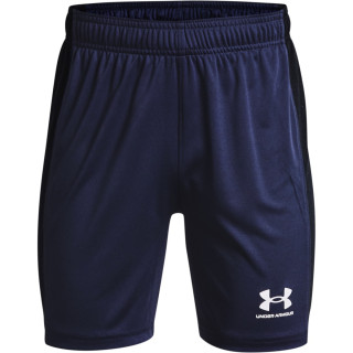 Kids' UA Challenger Knit Shorts 