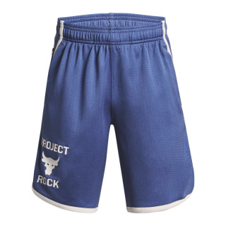 Boys' Project Rock Mesh Shorts 