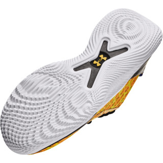 Unisex Curry Flow 10 'Double Bang' Basketball Shoes 