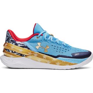 Unisex Curry 2 Low FloTro Basketball Shoes