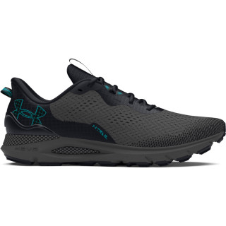Unisex UA Sonic Trail Running Shoes 