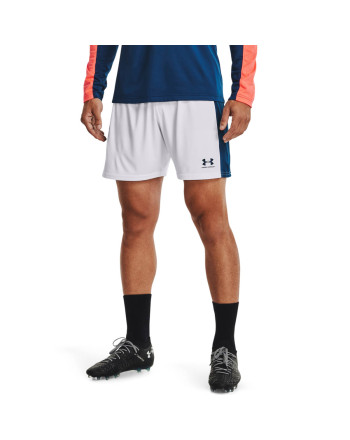 Men's UA Challenger Knit Shorts 