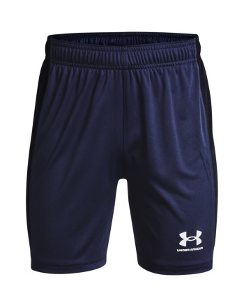 Kids' UA Challenger Knit Shorts 