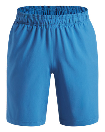 UA Tech™ Woven Wordmark Boys' Shorts 