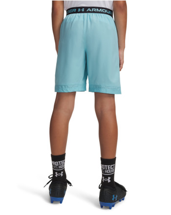 UA Vanish Boys' Shorts 