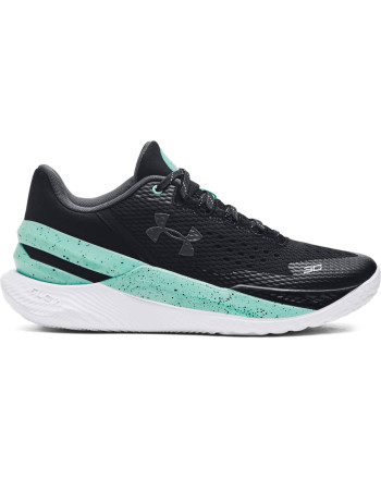 Unisex Curry 2 Low FloTro Basketball Shoes 