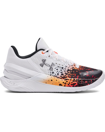 Unisex Curry 2 Low FloTro Basketball Shoes 
