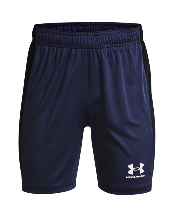 Kids' UA Challenger Knit Shorts 