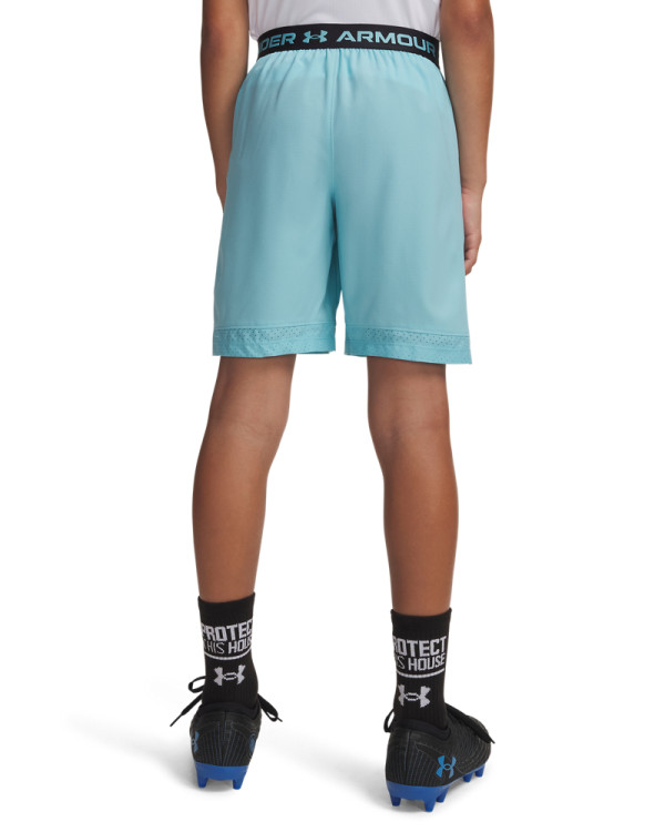 UA Vanish Boys' Shorts 
