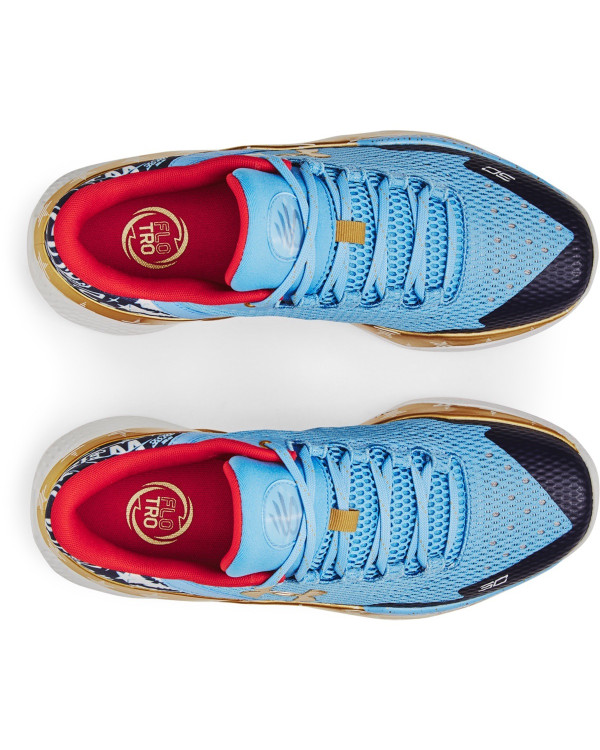 Unisex Curry 2 Low FloTro Basketball Shoes