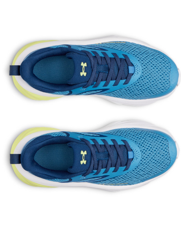 UA BPS Rogue 6 AL 