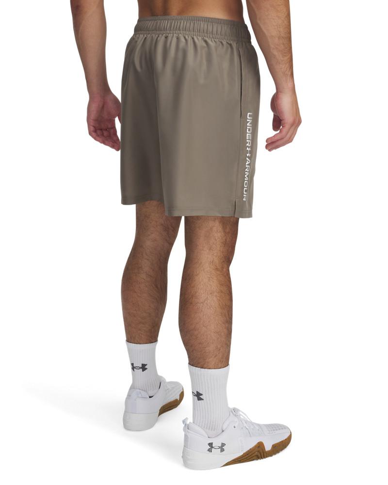 UA Woven Wdmk Shorts