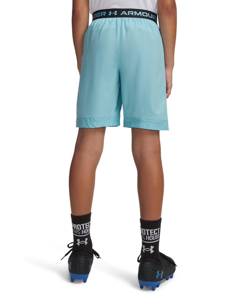 UA Vanish Boys' Shorts 