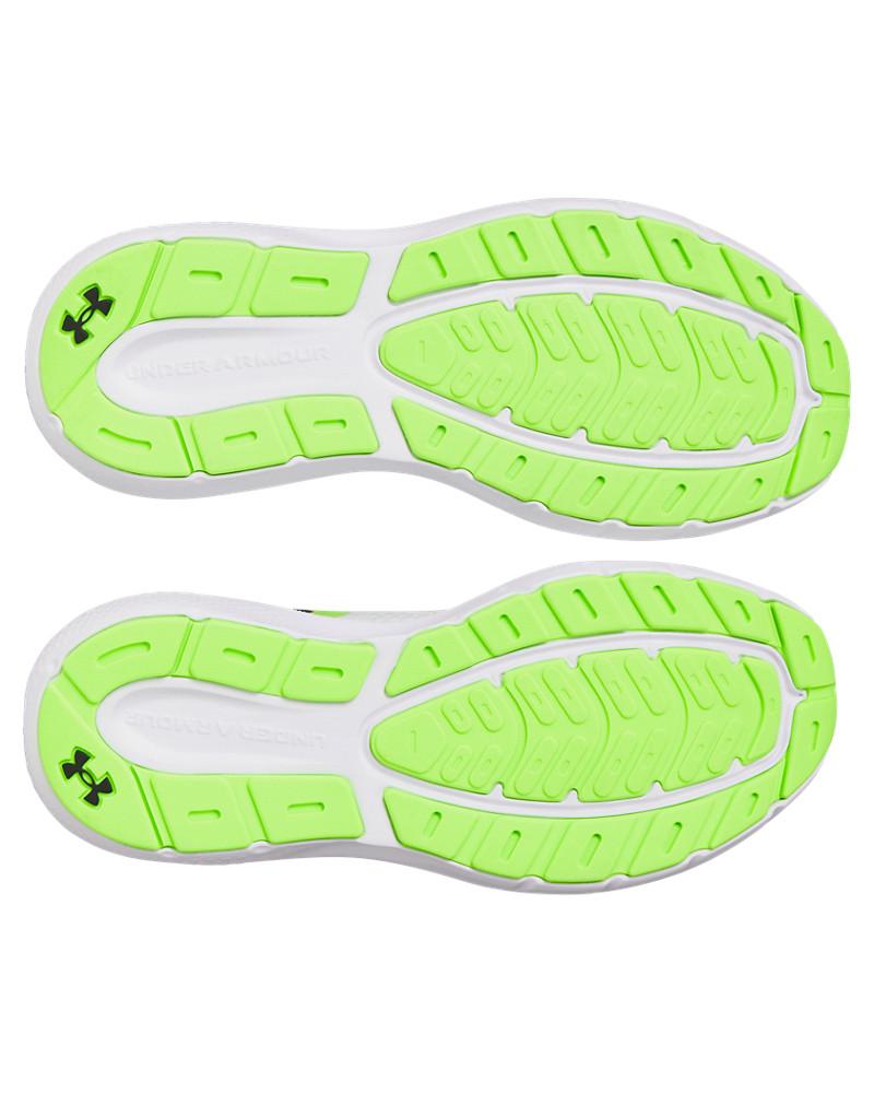 UA Rogue 5